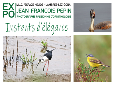 expo_jf_pepin