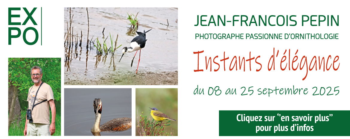 slider_expo_jf_pepin