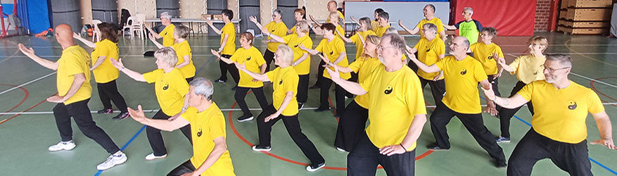 Tai Chi Chuan