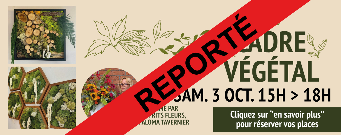 slider_cadre_vegetal_03_10_26_reporte